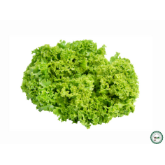 Salade - Mix de 2 salades